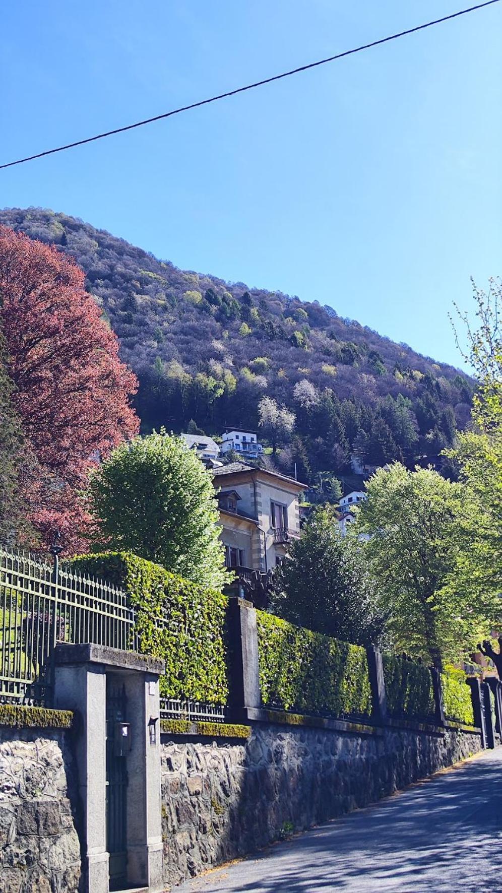 Villa Alma, Lake Como Bed&Breathe San Fedele Intelvi Exteriör bild
