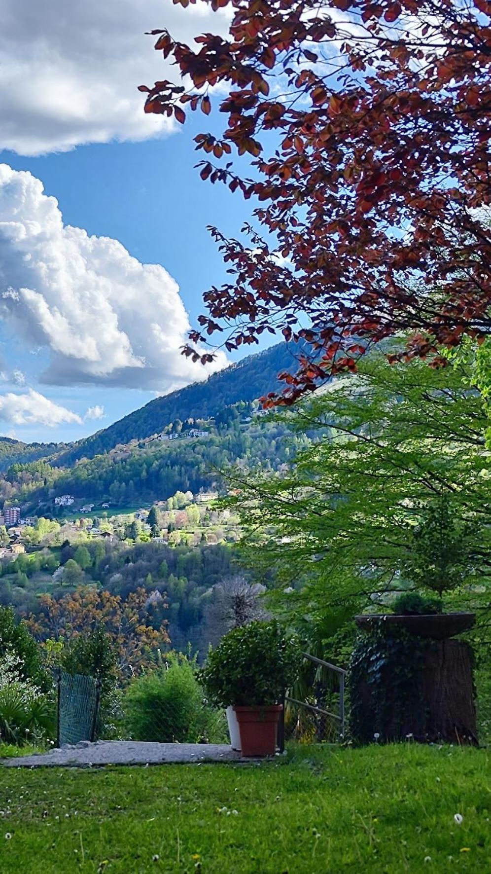 Villa Alma, Lake Como Bed&Breathe San Fedele Intelvi Exteriör bild